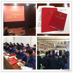 江山重工集团2017年党建工作亮点 一 支部主题党日 活动