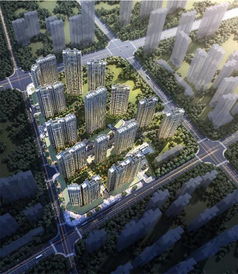 口碑好盘缔造者,武汉这家公司你知道吗