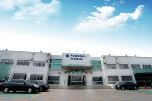 更节能更高效 辉门青岛活塞工厂增加投资