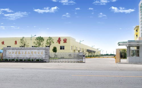 江西省春丝食品