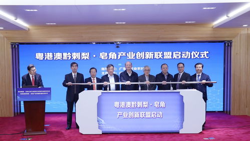 刺梨免疫调节 解酒护肝 护眼功效研究取得新成果 广药集团牵头成立粤港澳黔刺梨 皂角产业创新联盟