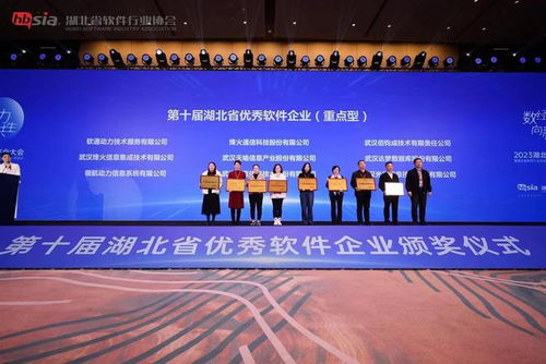 湖北软件行业营收规模超2553亿元，稳占中部半壁江山