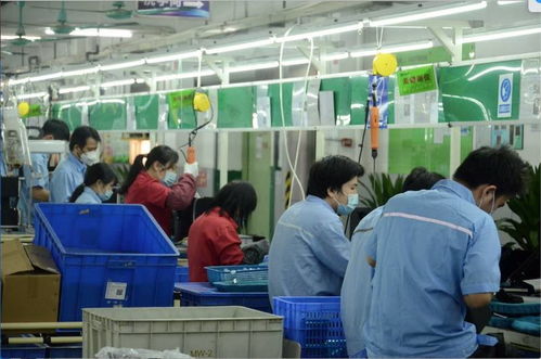 备战天猫双11，江山集团 顺德制造，我们准备好了！